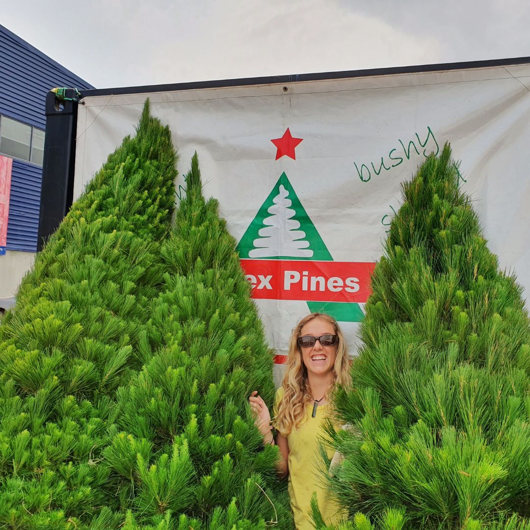 Order Your Christmas Tree