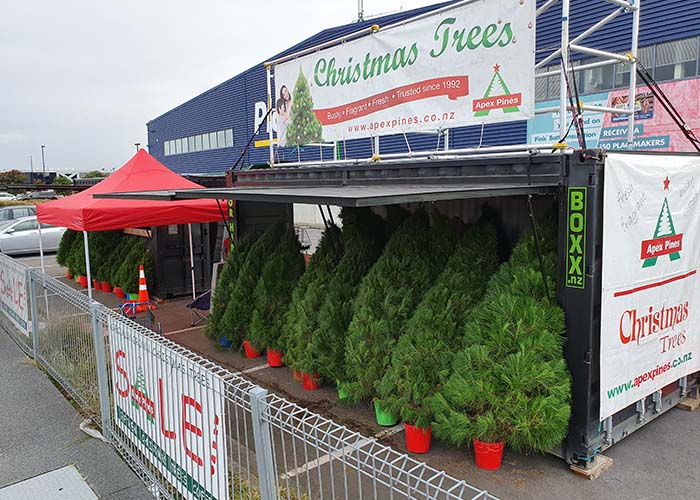 Wholesale Christmas Trees4